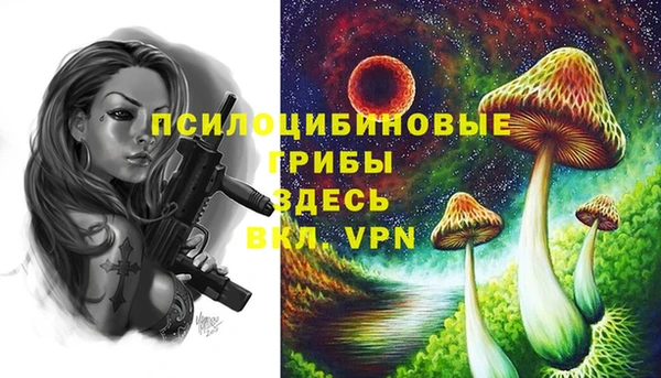 кокаин Богданович