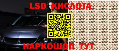 крисы Беслан