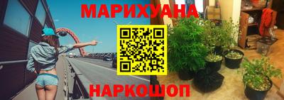 крисы Беслан