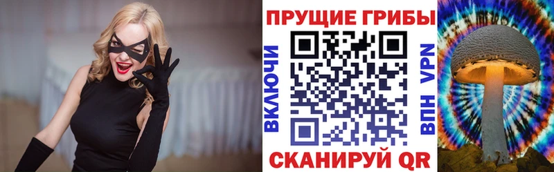 МЕГА ССЫЛКА  где найти   Богородск  Псилоцибиновые грибы мухоморы 