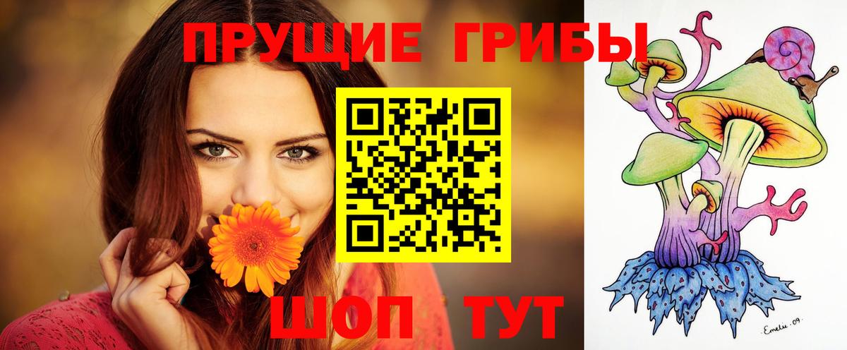 Псилоцибиновые грибы ЛСД Богородск