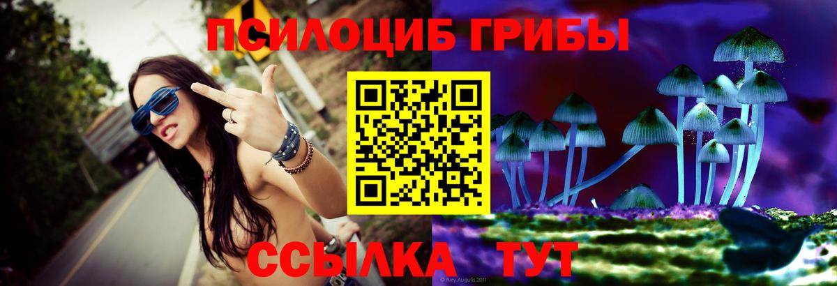 Псилоцибиновые грибы GOLDEN TEACHER  Вход с VPN  Богородск 